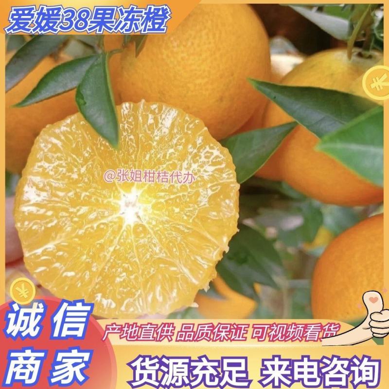 推荐四川果冻橙爱媛橙高次果产地一手货源量大从优全国发货