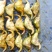 自家种的无药害无污染牛角青菱有货上市，需要的联系我