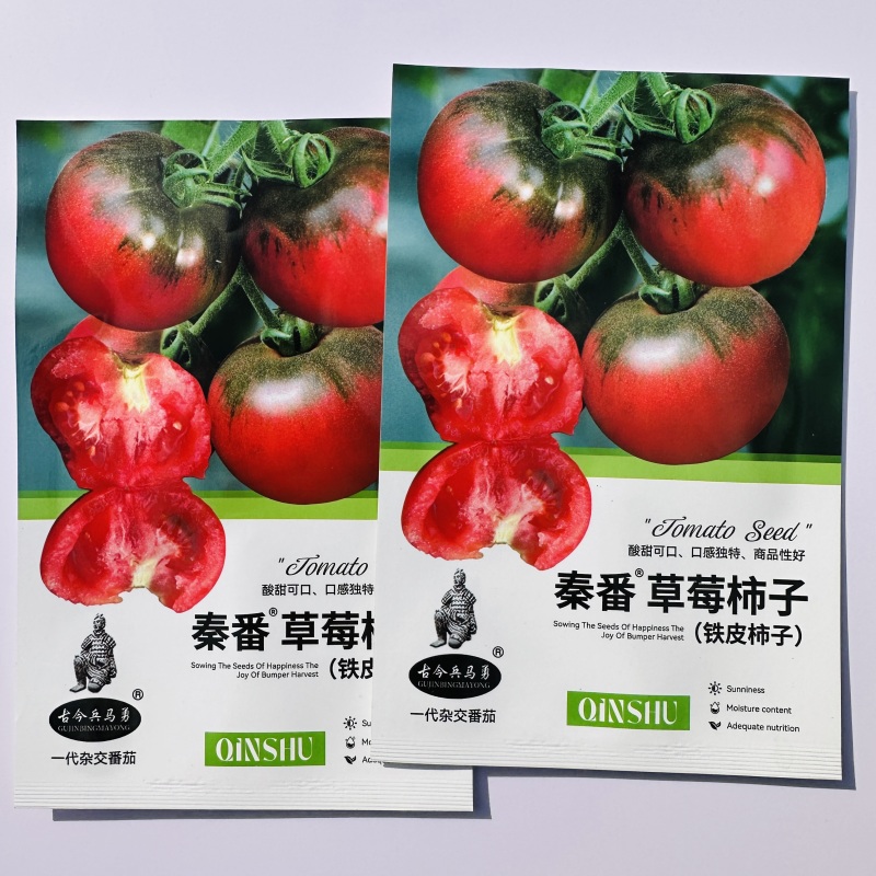 秦番草莓柿子酸甜水果西红柿种子铁皮柿子水果型番茄种籽香味
