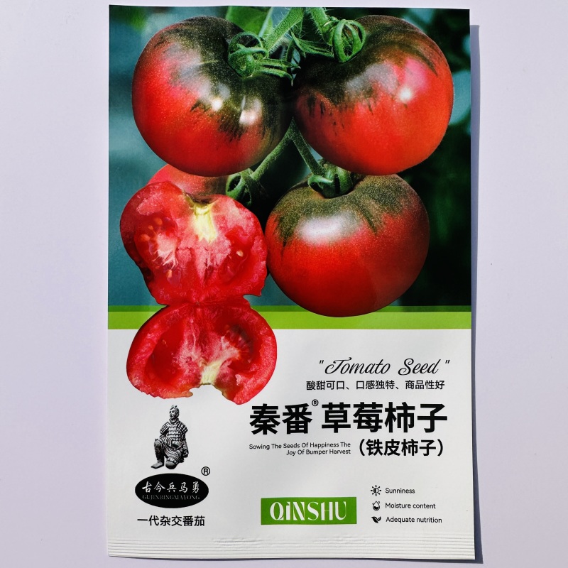 秦番草莓柿子酸甜水果西红柿种子铁皮柿子水果型番茄种籽香味