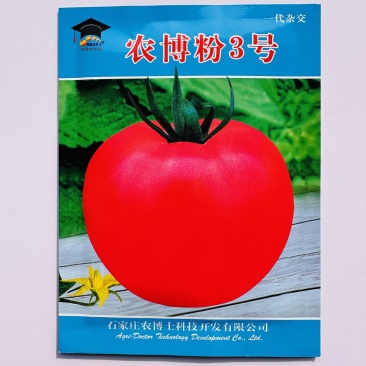 农博粉3号番茄种子粉红西红柿种子耐热抗病粉果大果口感好