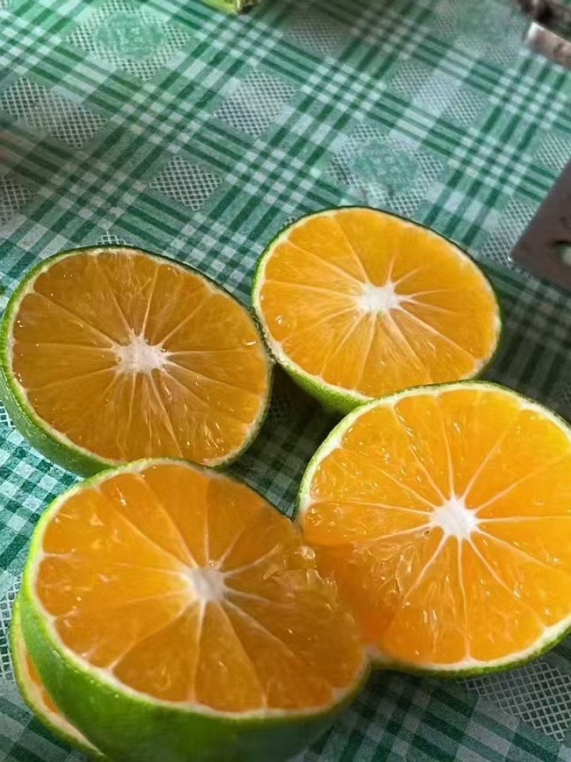 资阳蜜橘品质保证，产地直发，诚信经营，欢迎客商来电