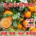 四川广元沃柑苗基地直供量大价优货真价实