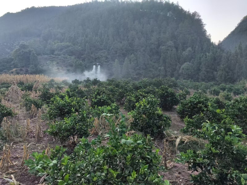 四川无人机飞防打药