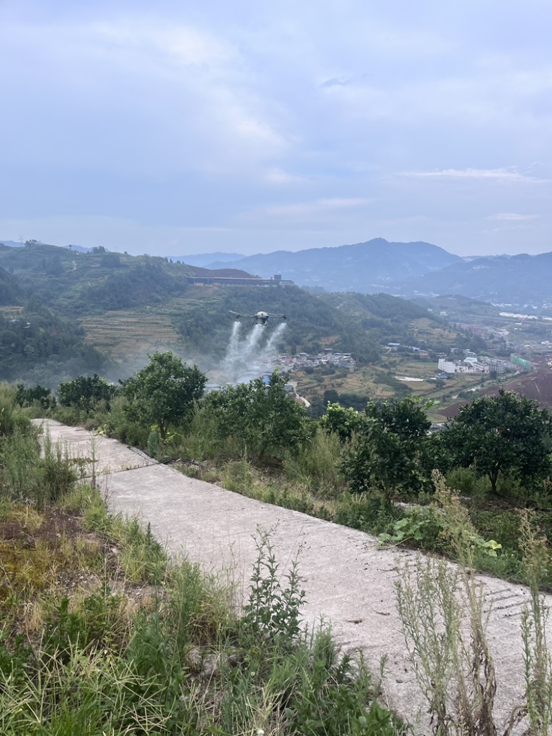 四川无人机飞防打药