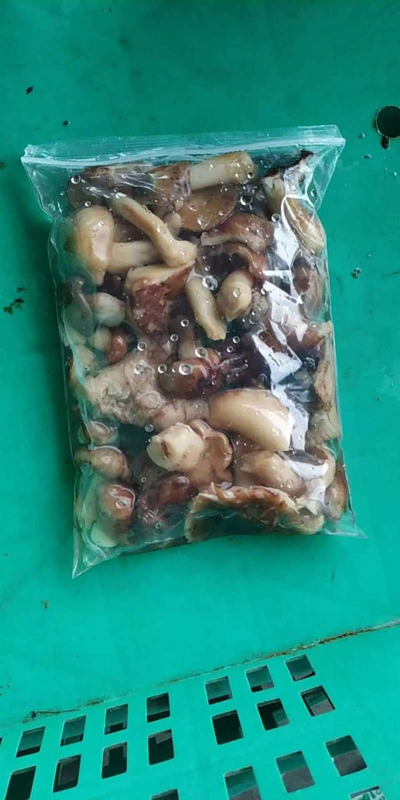口蘑，地口，土豆蘑鲜货