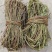 鸡骨草/野生鸡骨草/无硫鸡骨草/小扎把鸡骨草