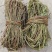 鸡骨草/野生鸡骨草/无硫鸡骨草/小扎把鸡骨草