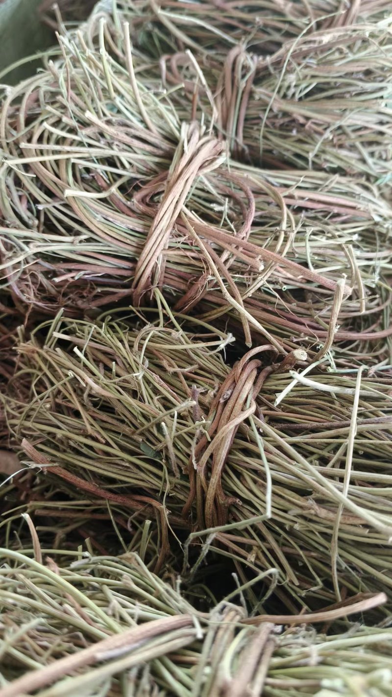鸡骨草/野生鸡骨草/无硫鸡骨草/小扎把鸡骨草