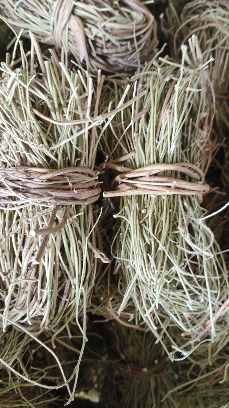 鸡骨草/野生鸡骨草/无硫鸡骨草/小扎把鸡骨草
