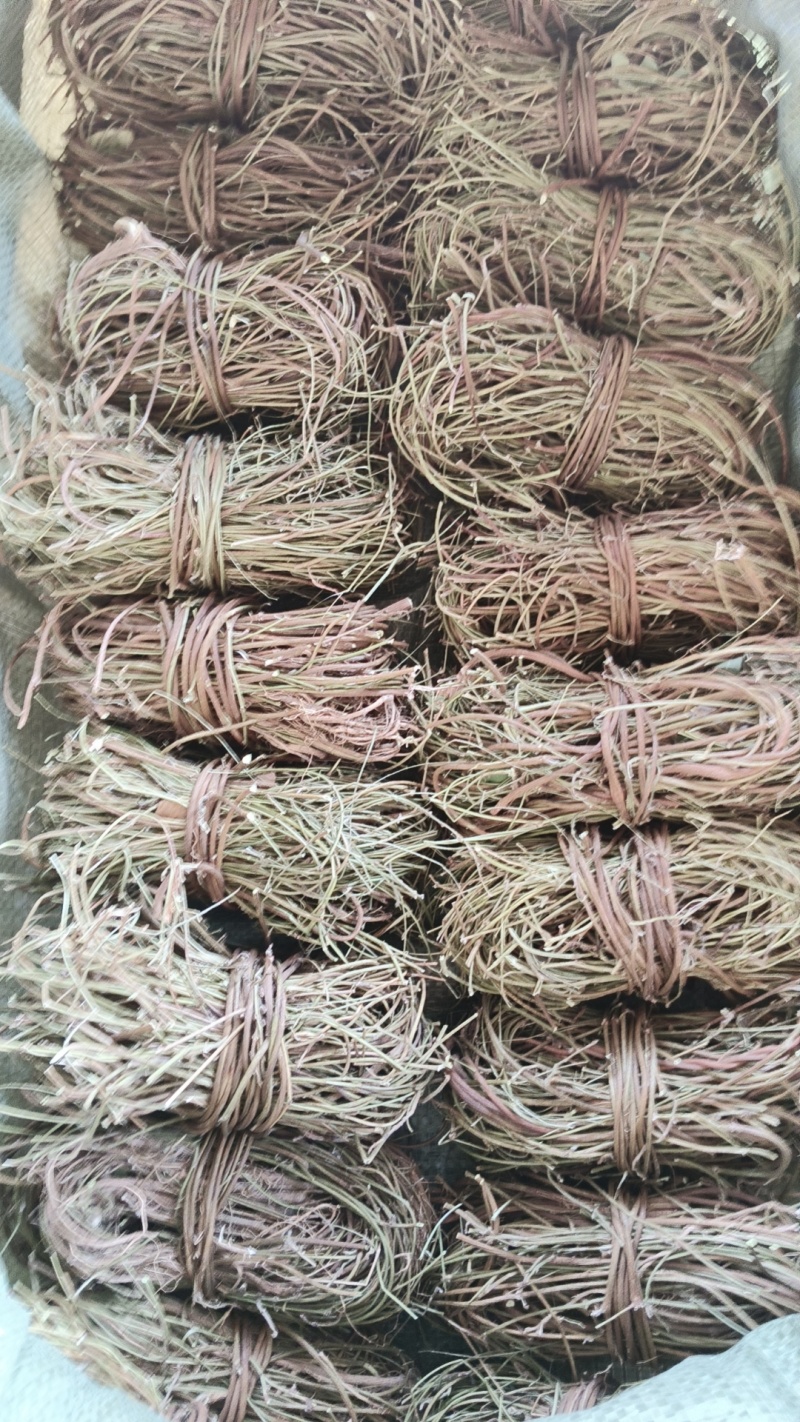 鸡骨草/野生鸡骨草/无硫鸡骨草/小扎把鸡骨草