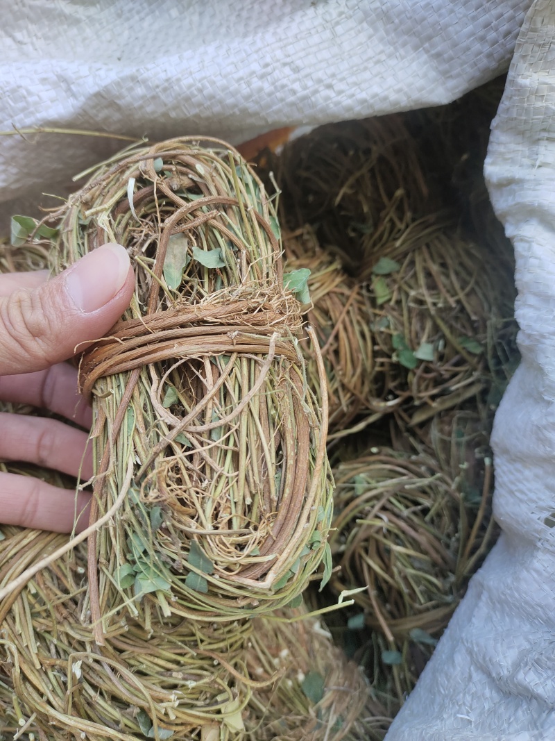 鸡骨草/野生鸡骨草/无硫鸡骨草/小扎把鸡骨草