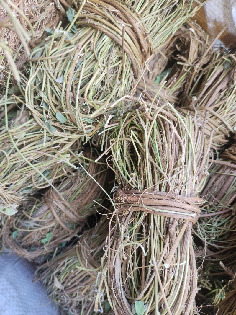 鸡骨草/野生鸡骨草/无硫鸡骨草/小扎把鸡骨草