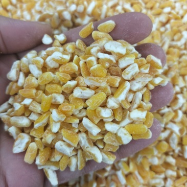 辽宁朝阳北票的玉米茬，质量非常好！保证质量！