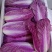 【紫白菜】淄博特菜按需求分拣打包货量大全年有运输快支持