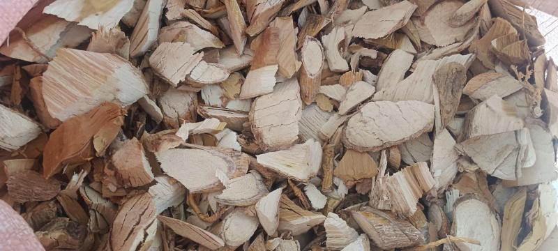 野生穿破石/九层皮，精品过筛，纯手工切片干货