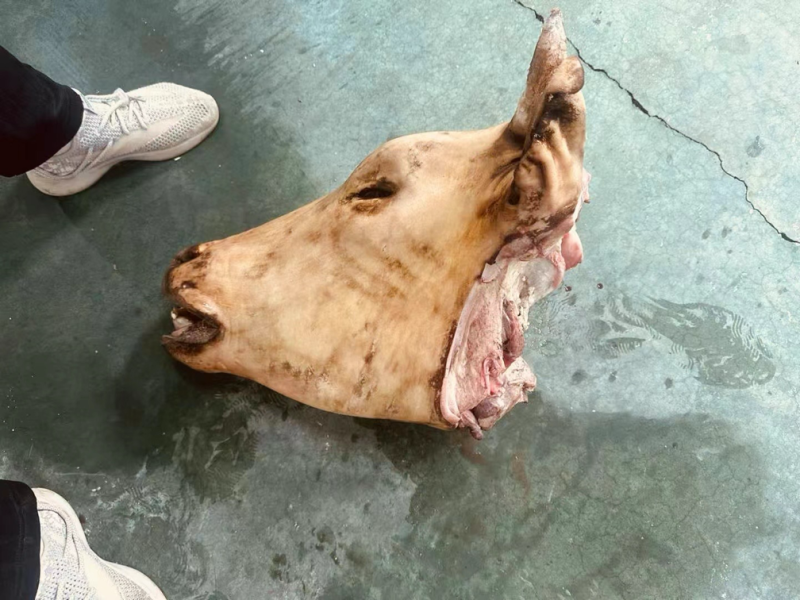 火烧母牛头带牛舌肉锥