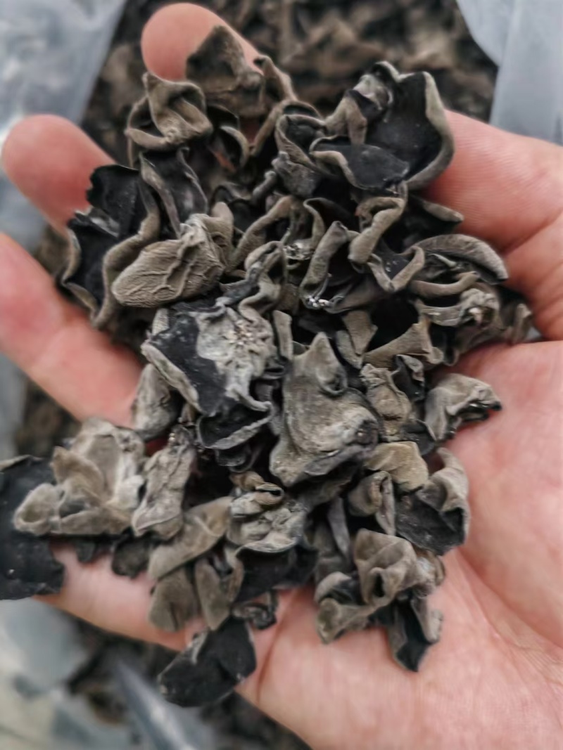 汉中精品黑木耳