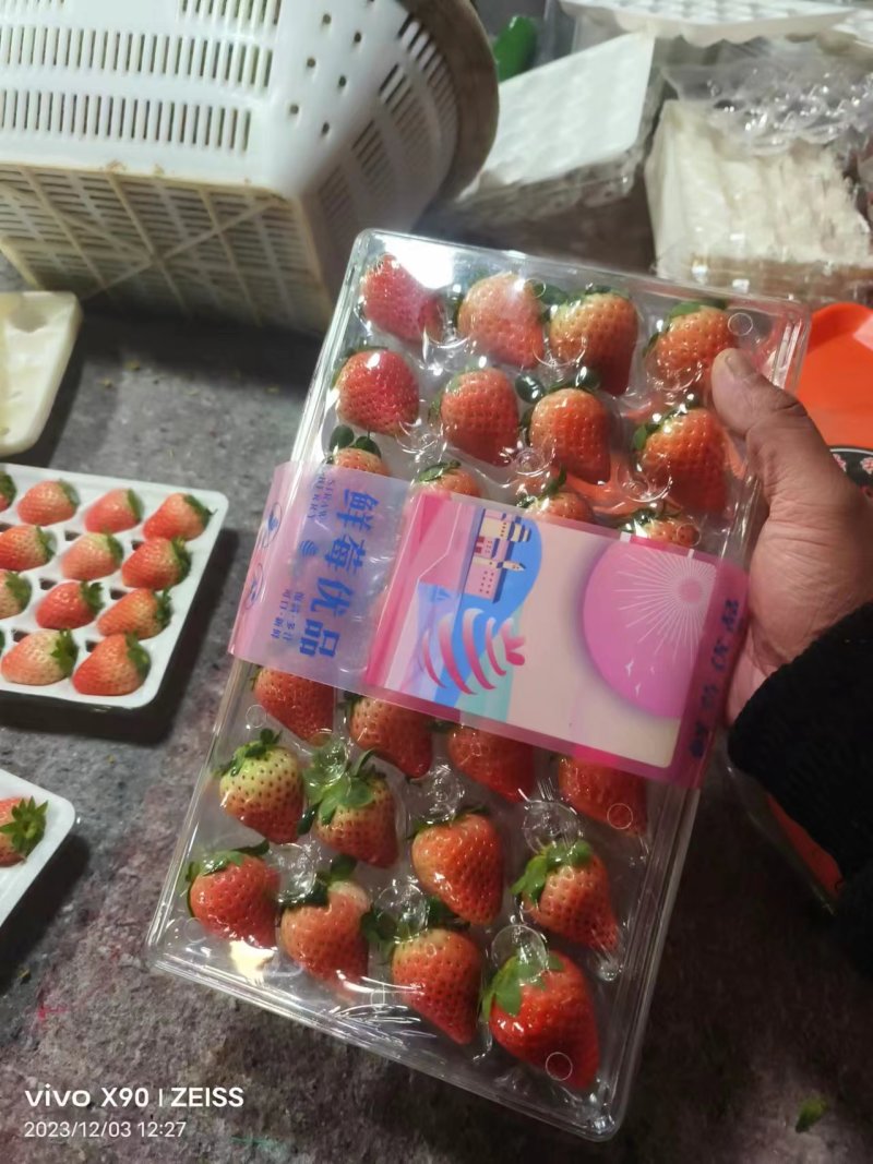 宁玉草莓江苏徐州草莓口感香甜对接全社区团购电商市场