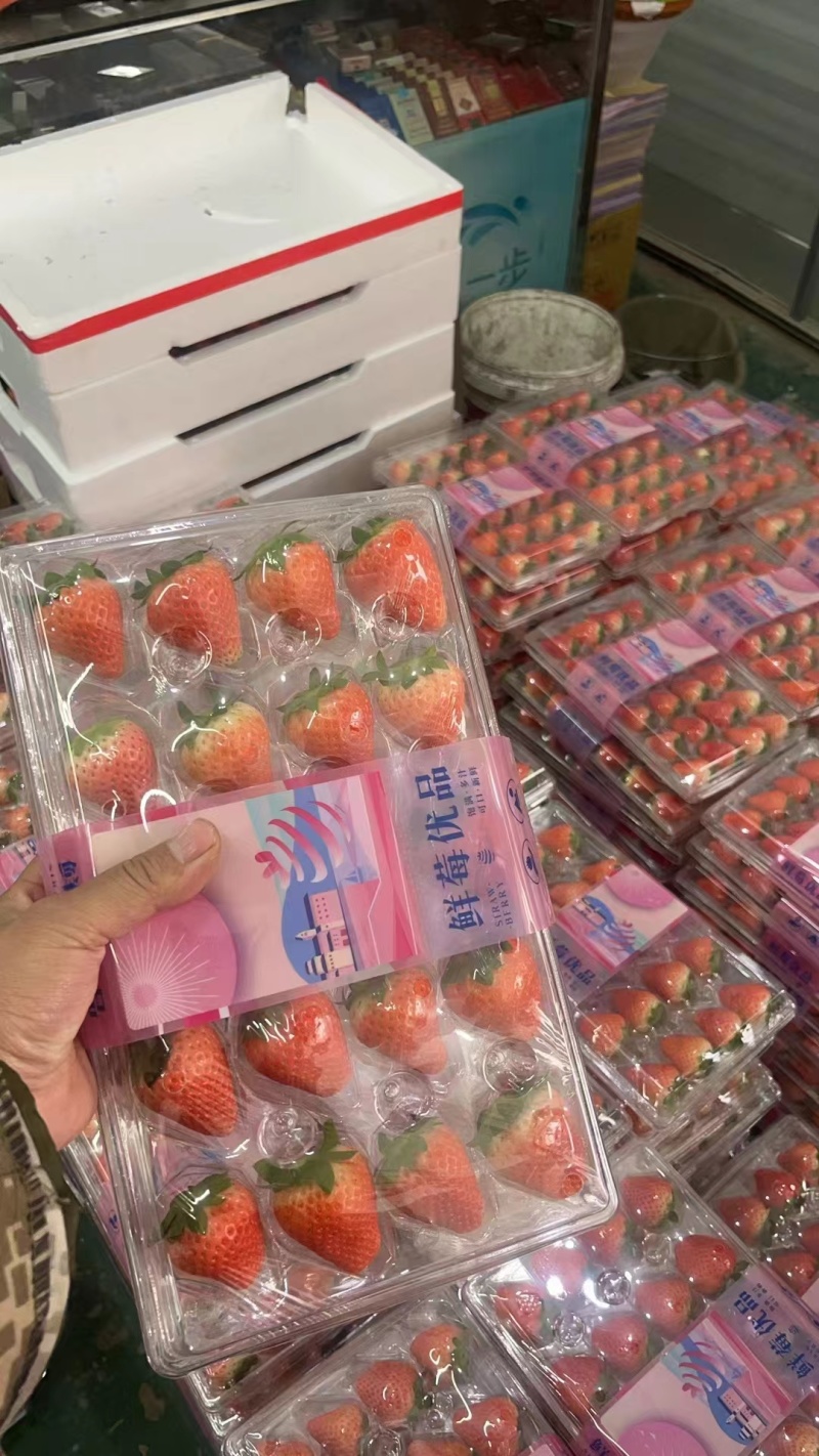 【实力】宁玉草莓徐州贾汪草莓大量上市按需包装代发全国