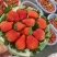 【实力】宁玉草莓徐州贾汪草莓大量上市按需包装代发全国