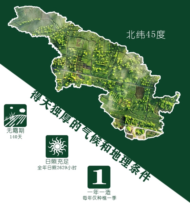 【五常大米】2024秋新产季五常稻花香2号5kg真空
