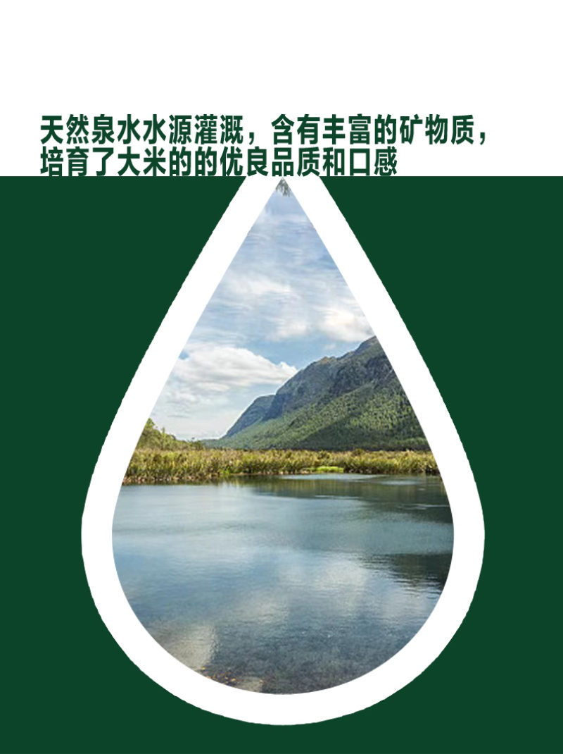 【五常大米】2024秋新产季五常稻花香2号5kg真空