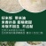 【五常大米】2024秋新产季五常稻花香2号5kg真空