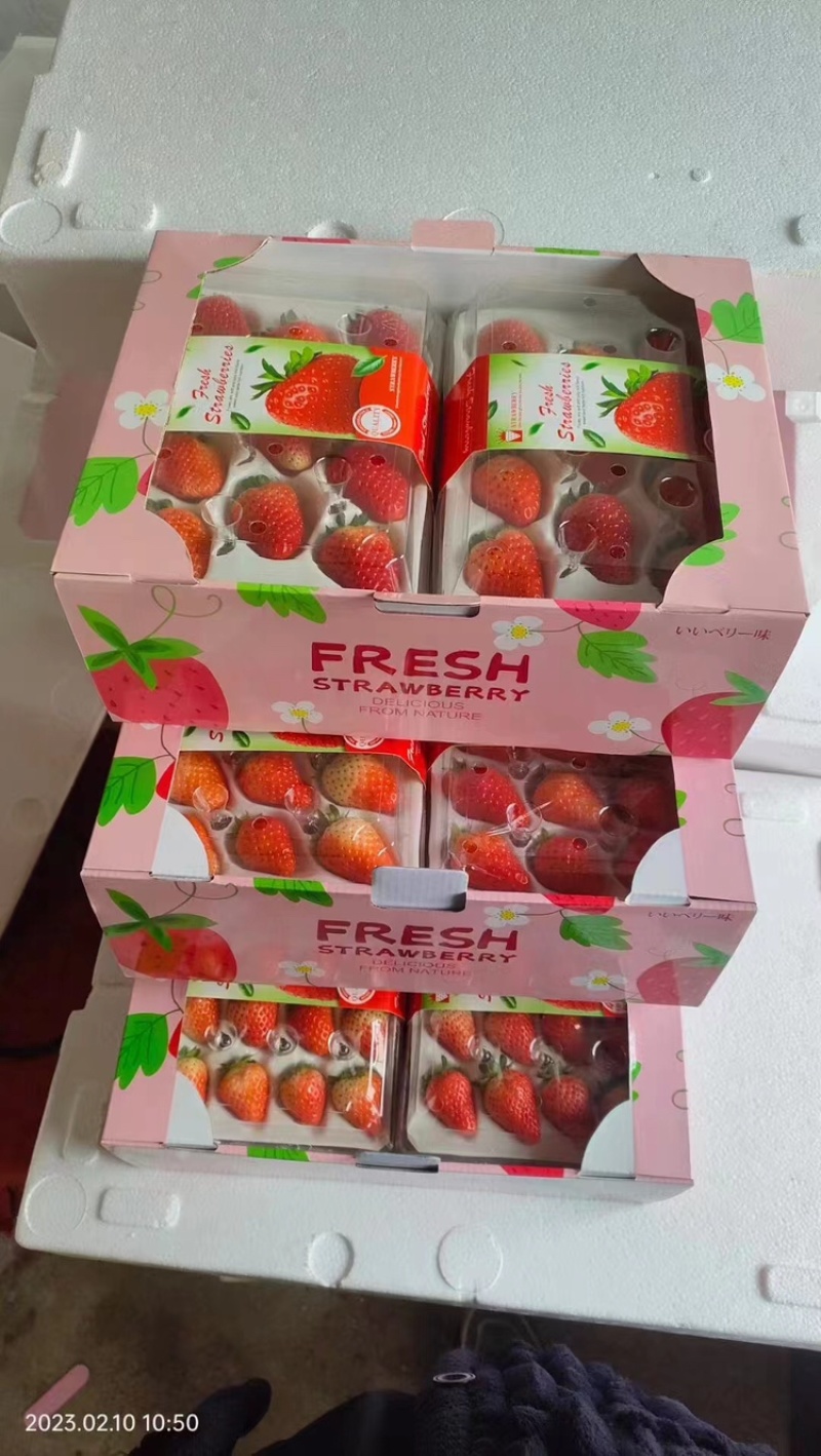 【优质奶油草莓】江苏基地直供质量保证货源充足量大价