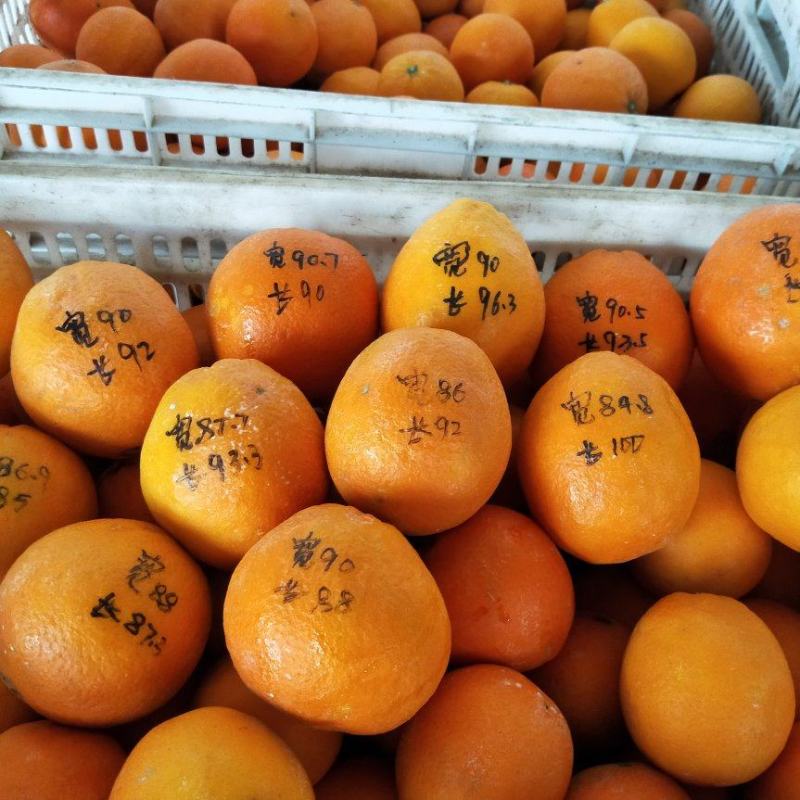 赣南脐橙次果二级果榨汁果果汁果摆摊果市场果
