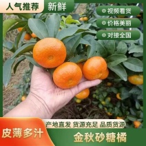 【广西砂糖橘】广西桂林砂糖橘上市颜色靓纯甜口大小都有糖度