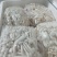 散白玉