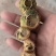 云南产野生黄精大量上市，全国发货，量大从优，可视频看货