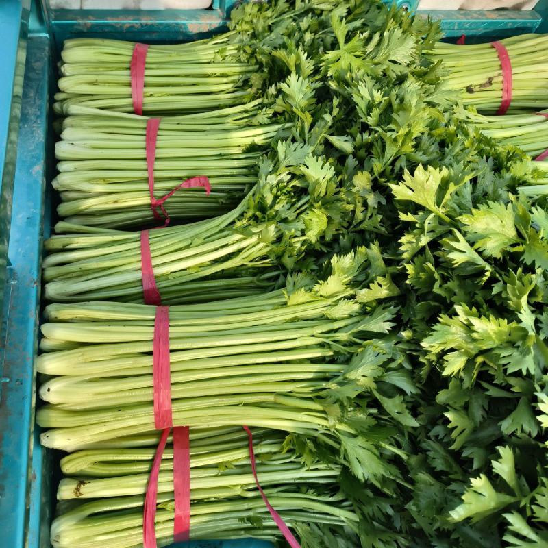 实心西芹，中小颗菜，黄金色。