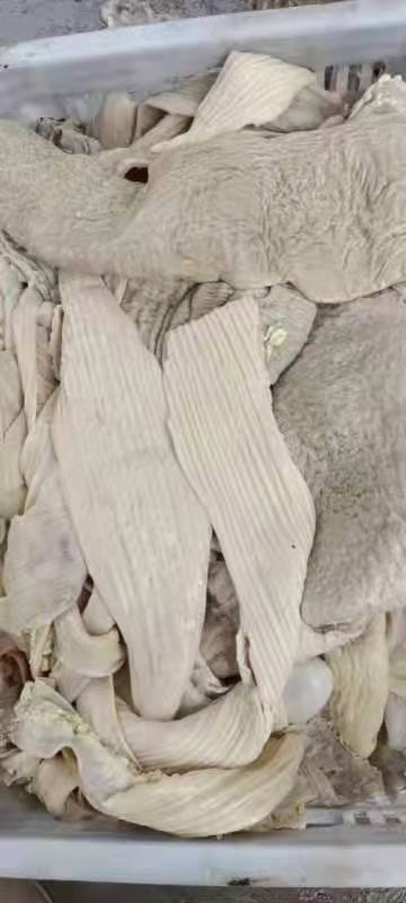 牛肠牛大肠小肠四五成熟大量有货可以定制加工