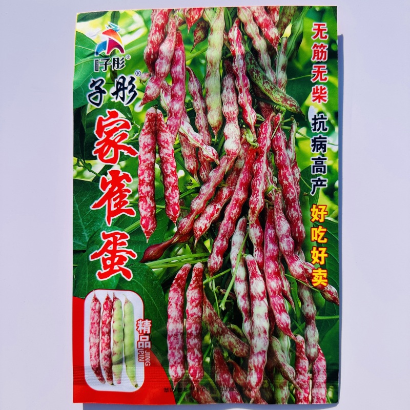 正宗家雀蛋豆角种子早熟鼓豆嘎嘎面油豆角种子小红鱼豆角种子