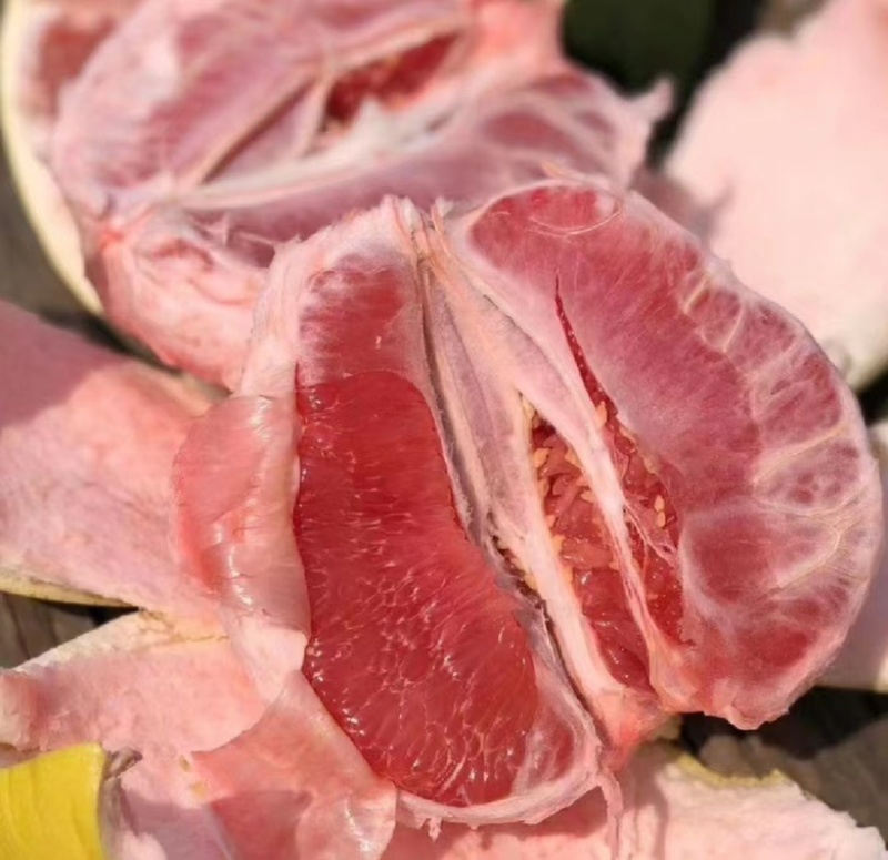 【绵阳】王炸套袋三红蜜柚大量上市保质保量诚信经营