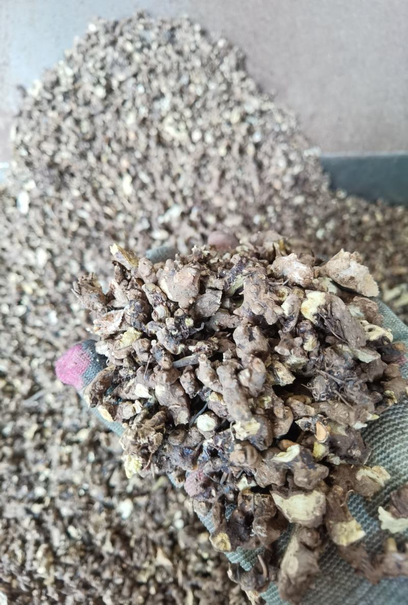 淫羊藿根子干货，仙灵脾5斤起包邮
