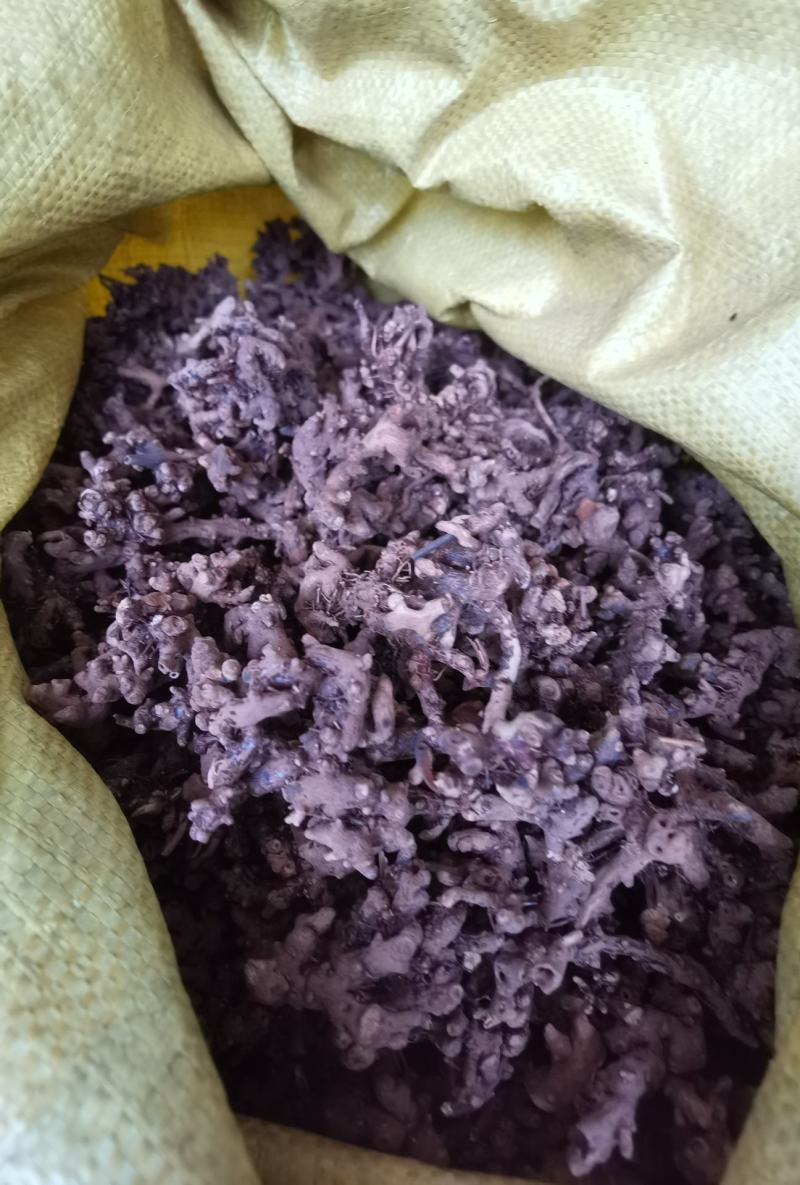 淫羊藿根子干货，仙灵脾5斤起包邮