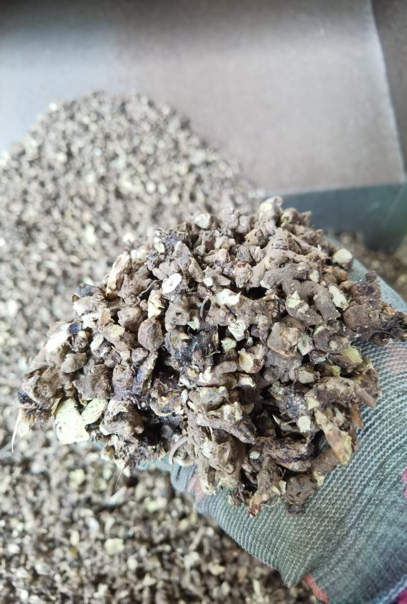 淫羊藿根子干货，仙灵脾5斤起包邮