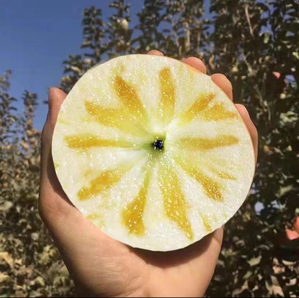 青苹果切片