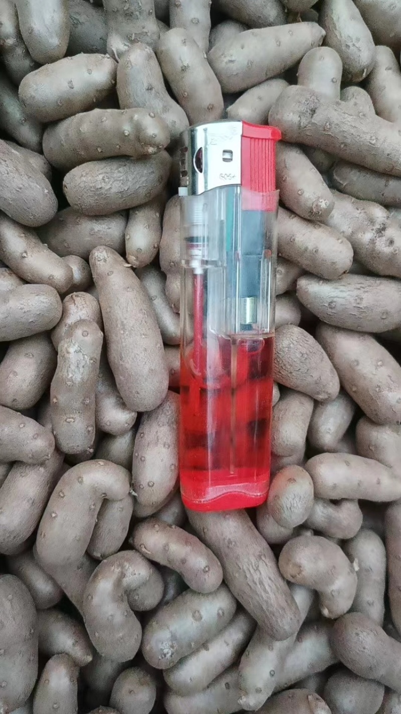 【推荐】小白嘴山药豆手捡大豆可视频看货产地直发