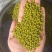 东北绿豆吉林绿豆量大从优