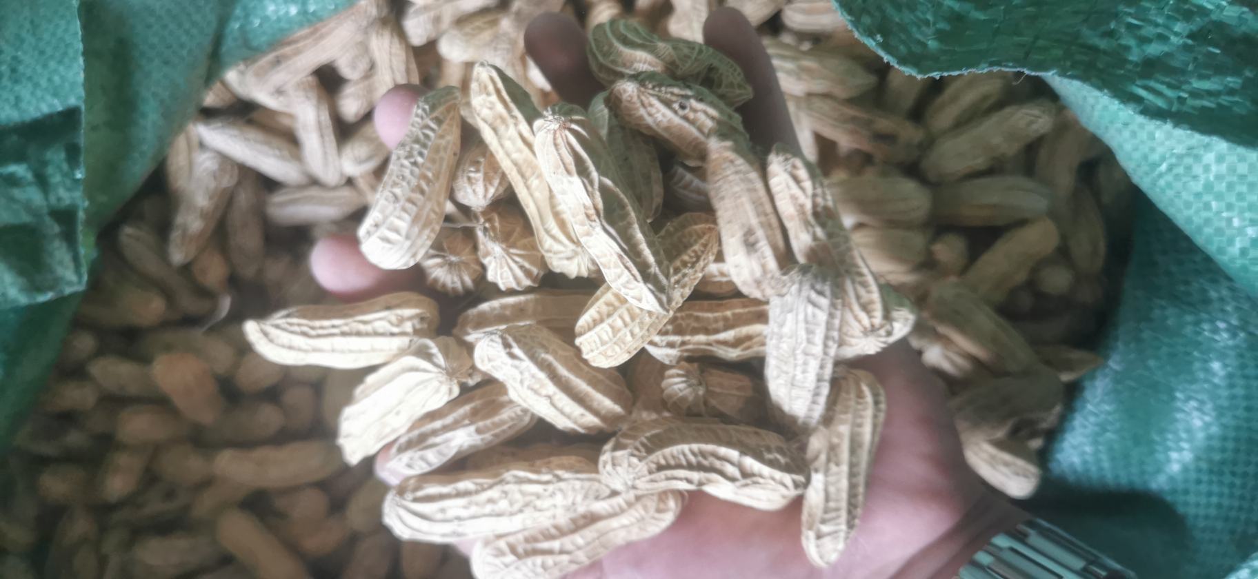 抓一把花生米