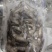 鳑鲏鱼风干鳑鲏鱼风干广皮鱼屎光皮鱼