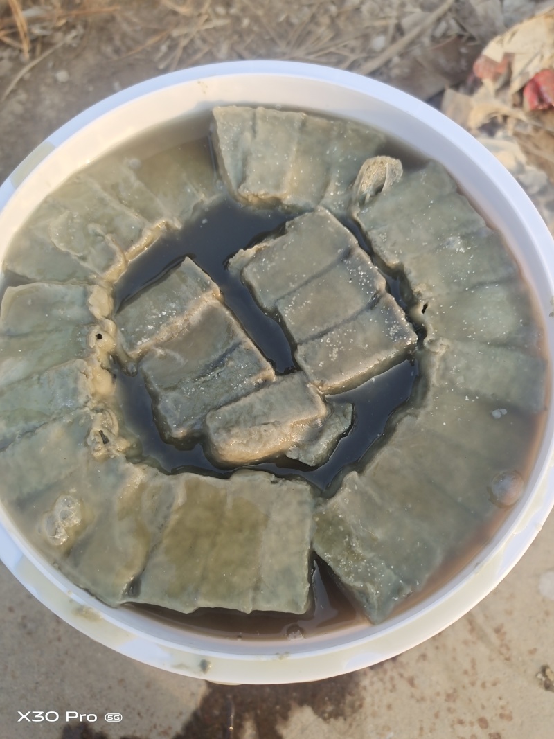 老式大缸臭豆腐