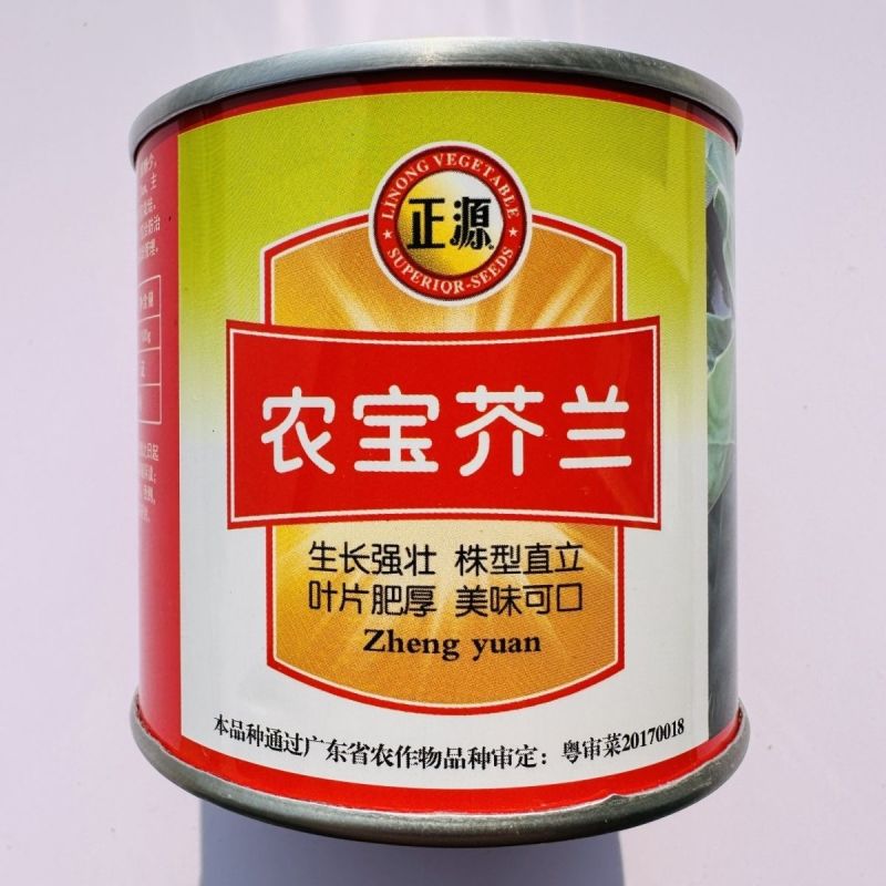 正源农宝芥兰种子叶片肥厚鲜嫩美味可口芥兰种子腊粉少白花芥