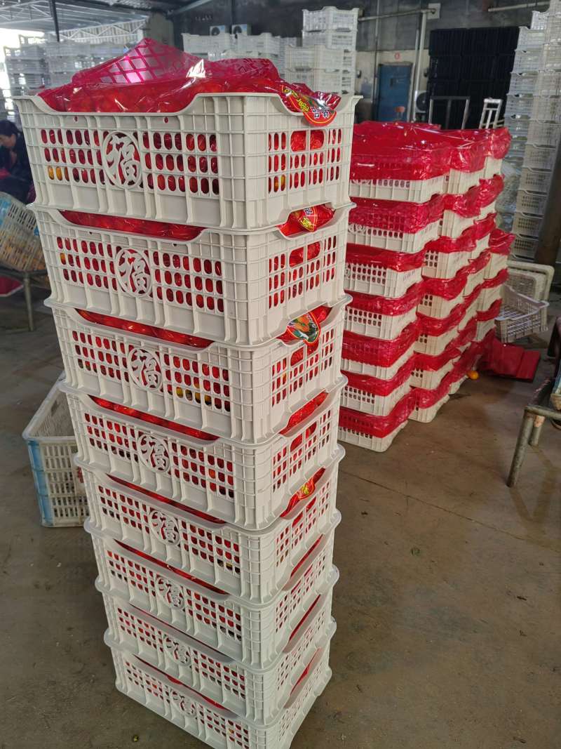 宜昌南丰贡桔蜜广纯甜多汁市场批发商超出口外贸，诚信