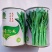 出奇75天杂交菜心种子浓绿尖叶菜苔种子爽脆味甜纤维少