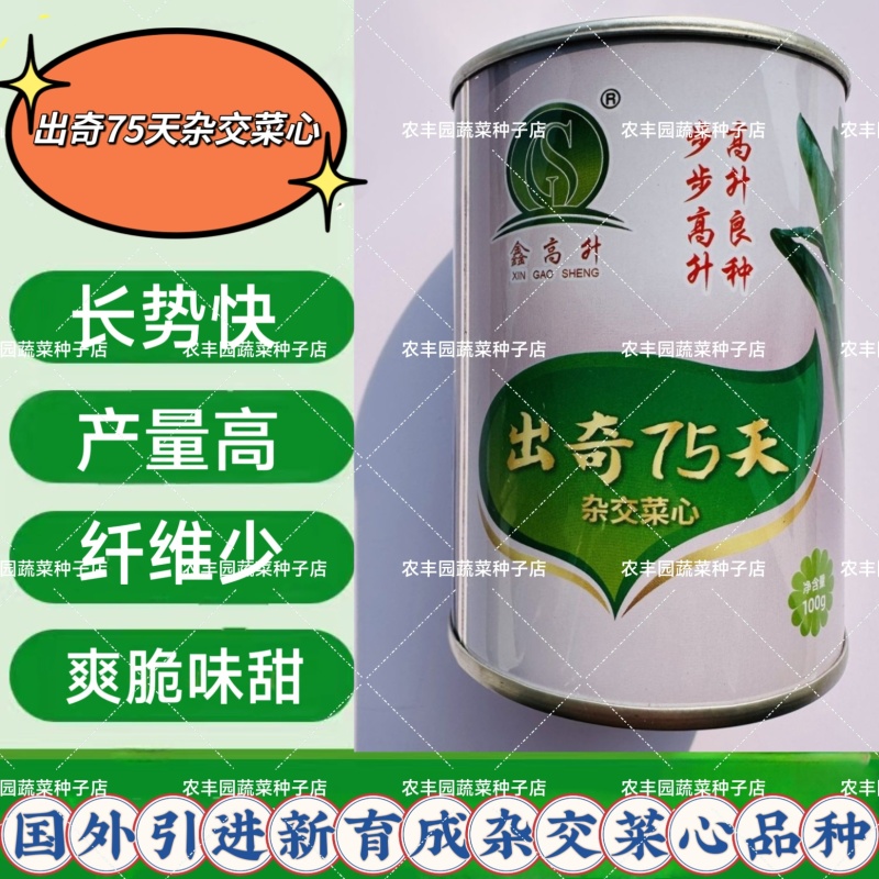 出奇75天杂交菜心种子浓绿尖叶菜苔种子爽脆味甜纤维少